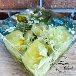 Medium Square - Image 1