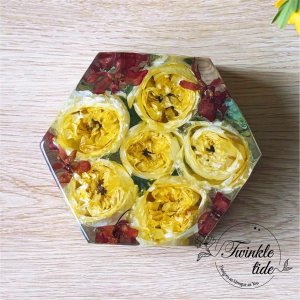 Small Hexagon - Image 2